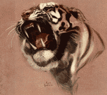 Gif animé lion rugit